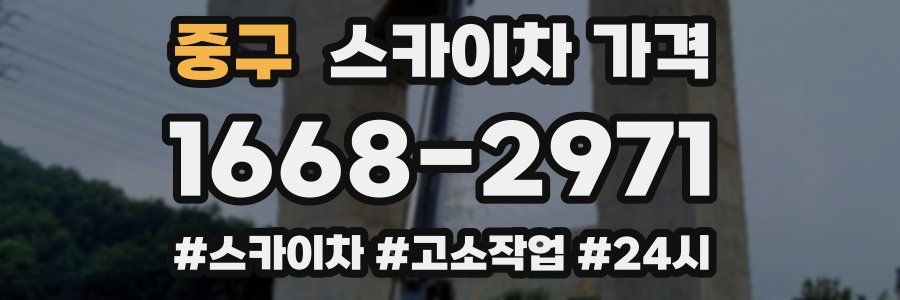 중구 스카이차 가격