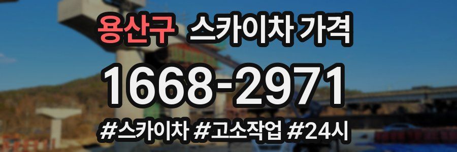 용산구 스카이차 가격