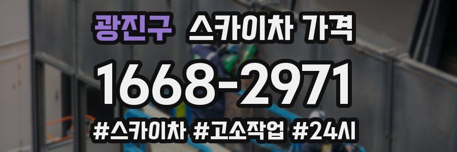 광진구 스카이차 가격