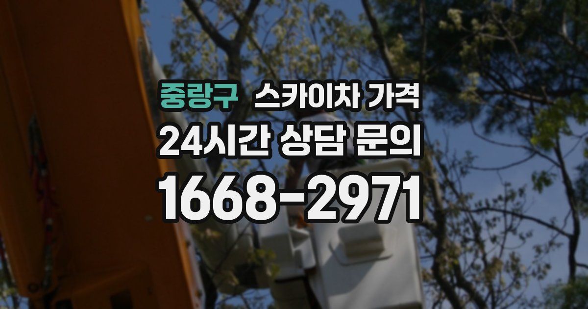 중랑구 스카이차 가격