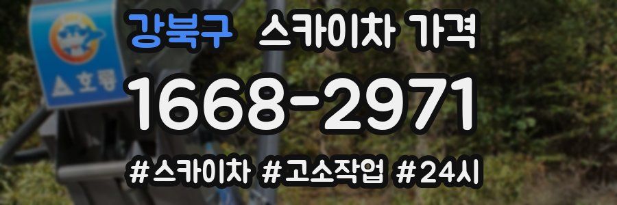 강북구 스카이차 가격