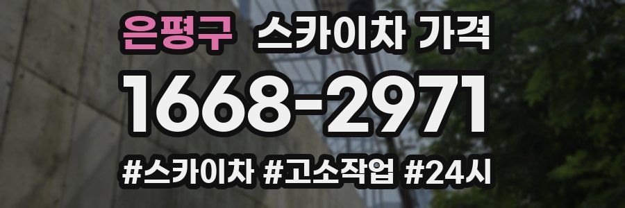 은평구 스카이차 가격