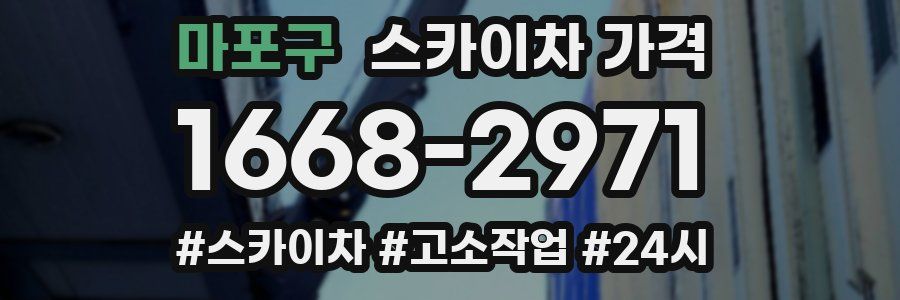 마포구 스카이차 가격