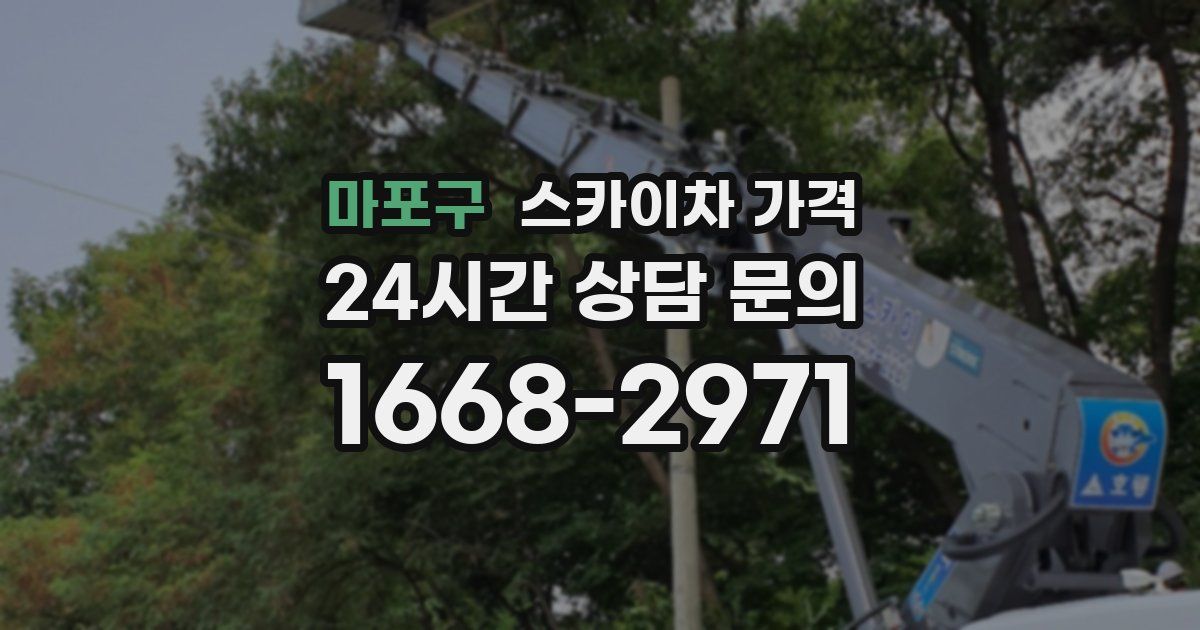 마포구 스카이차 가격