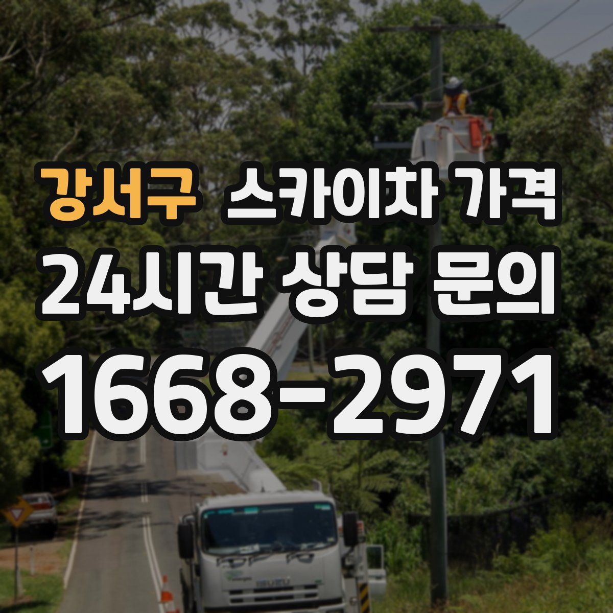 강서구 스카이차 가격