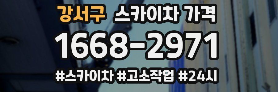 강서구 스카이차 가격