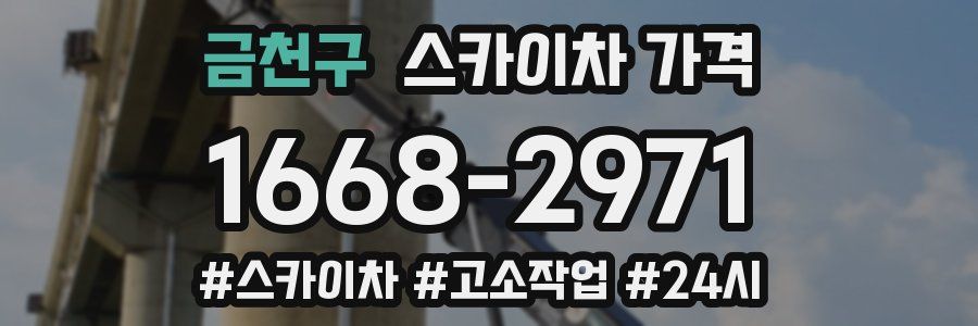 금천구 스카이차 가격