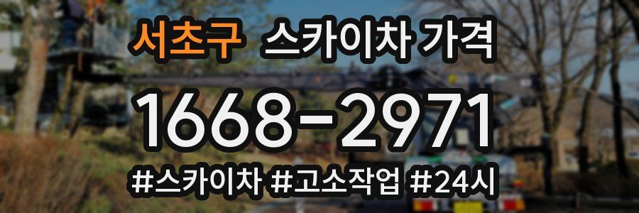 서초구 스카이차 가격