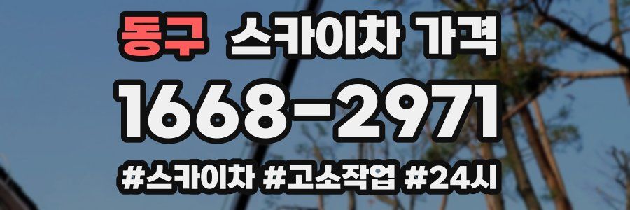 동구 스카이차 가격