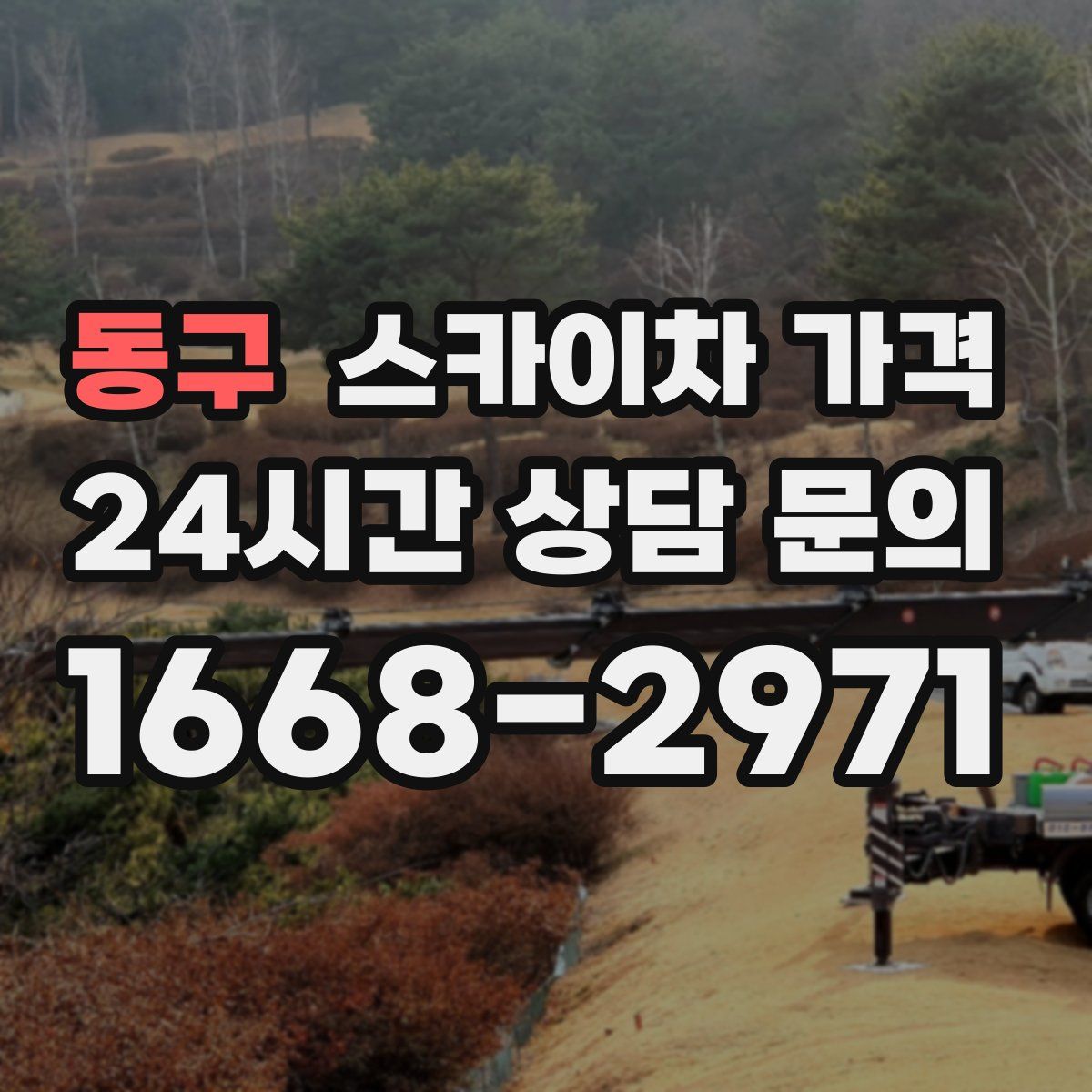 동구 스카이차 가격