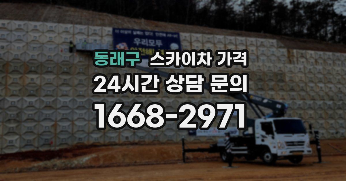 동래구 스카이차 가격
