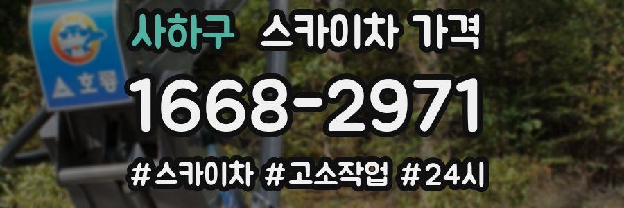 사하구 스카이차 가격