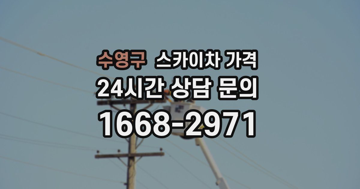 수영구 스카이차 가격