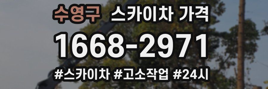 수영구 스카이차 가격