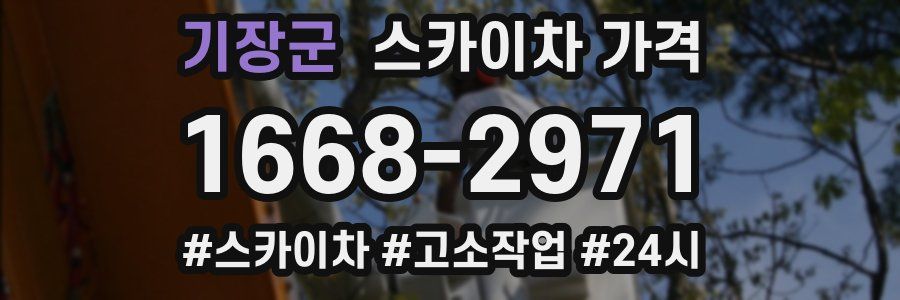 기장군 스카이차 가격