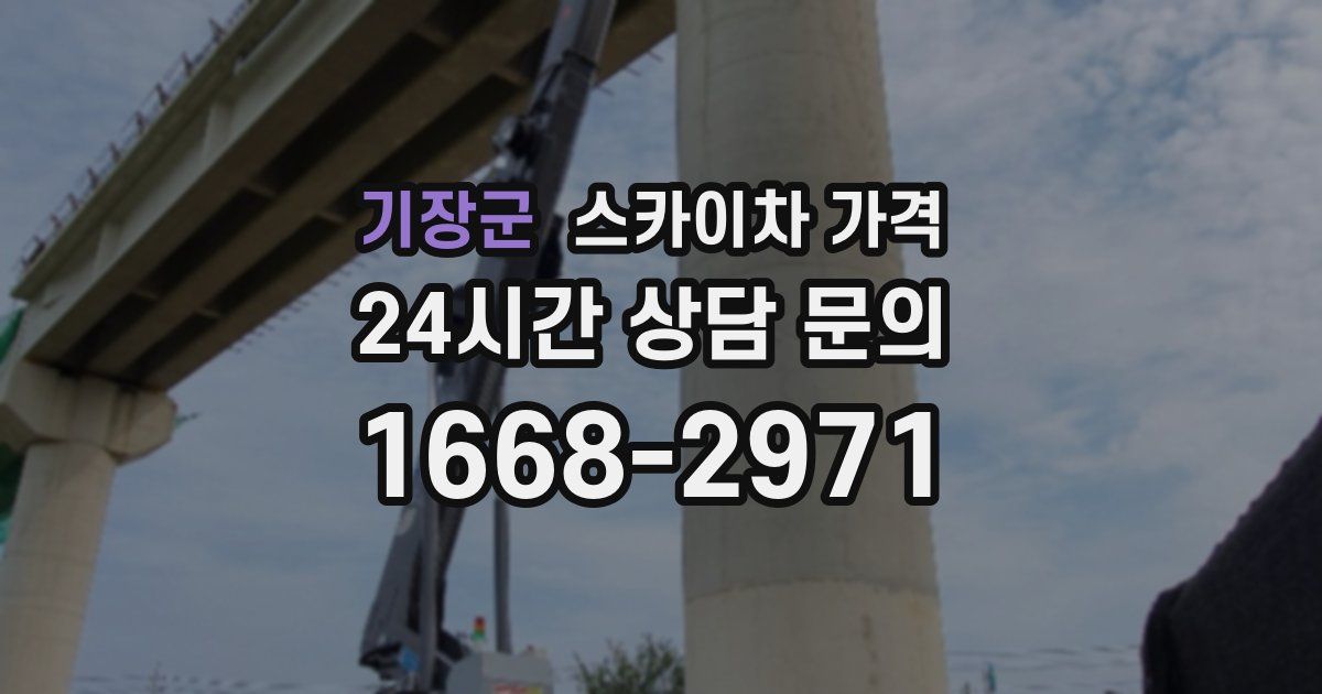 기장군 스카이차 가격