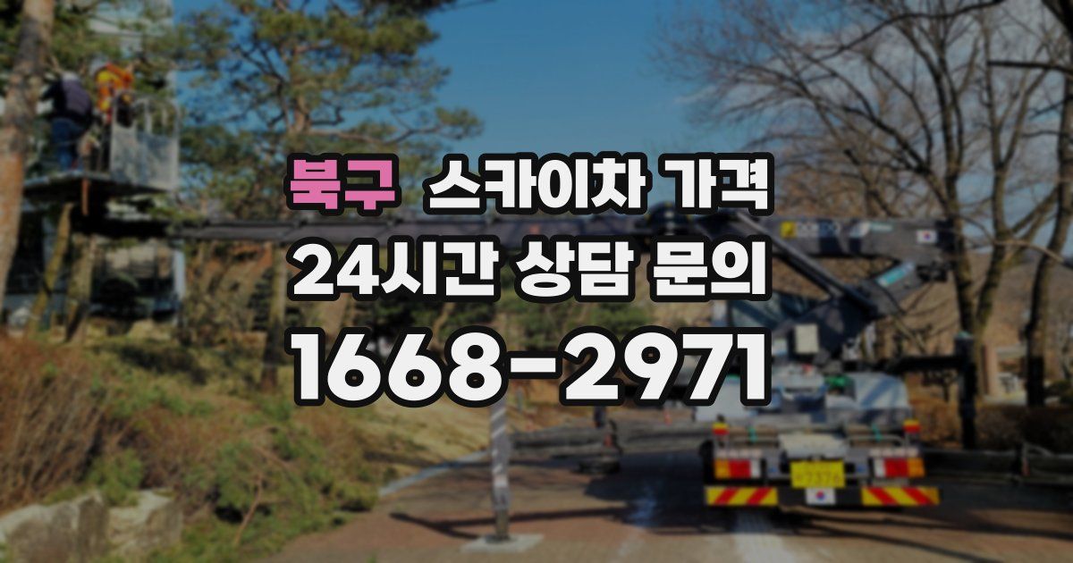 북구 스카이차 가격