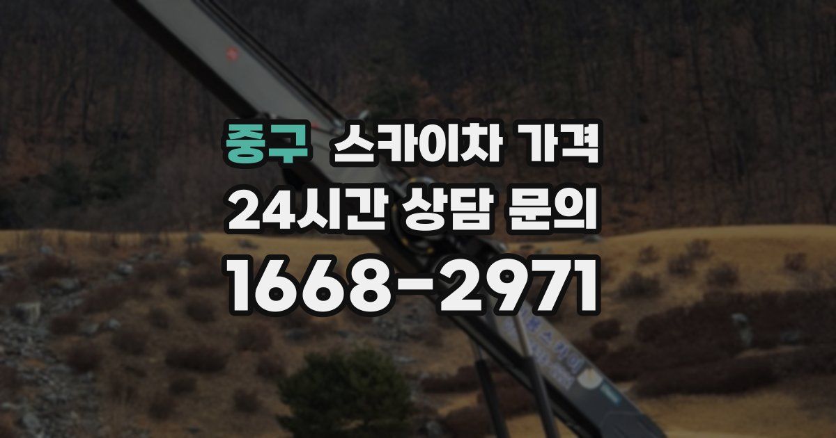 중구 스카이차 가격