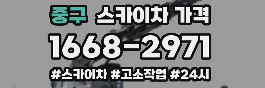 중구 스카이차 가격