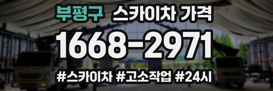 부평구 스카이차 가격