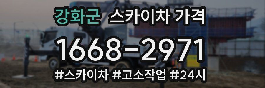 강화군 스카이차 가격