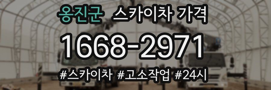 옹진군 스카이차 가격