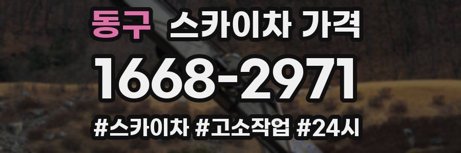 동구 스카이차 가격