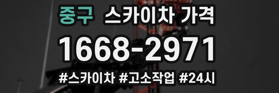 중구 스카이차 가격