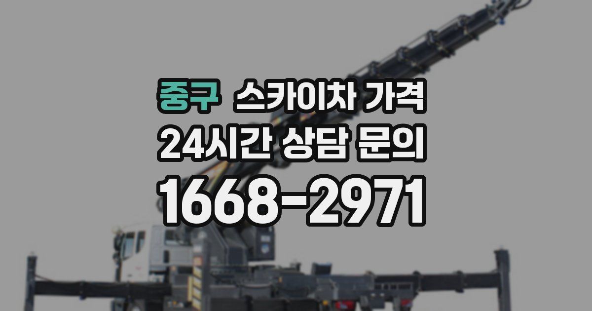 중구 스카이차 가격