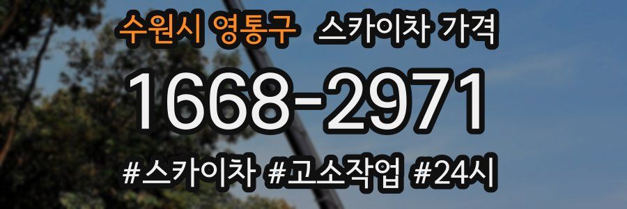 수원시 영통구 스카이차 가격