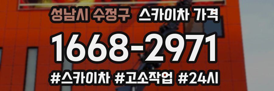 성남시 수정구 스카이차 가격