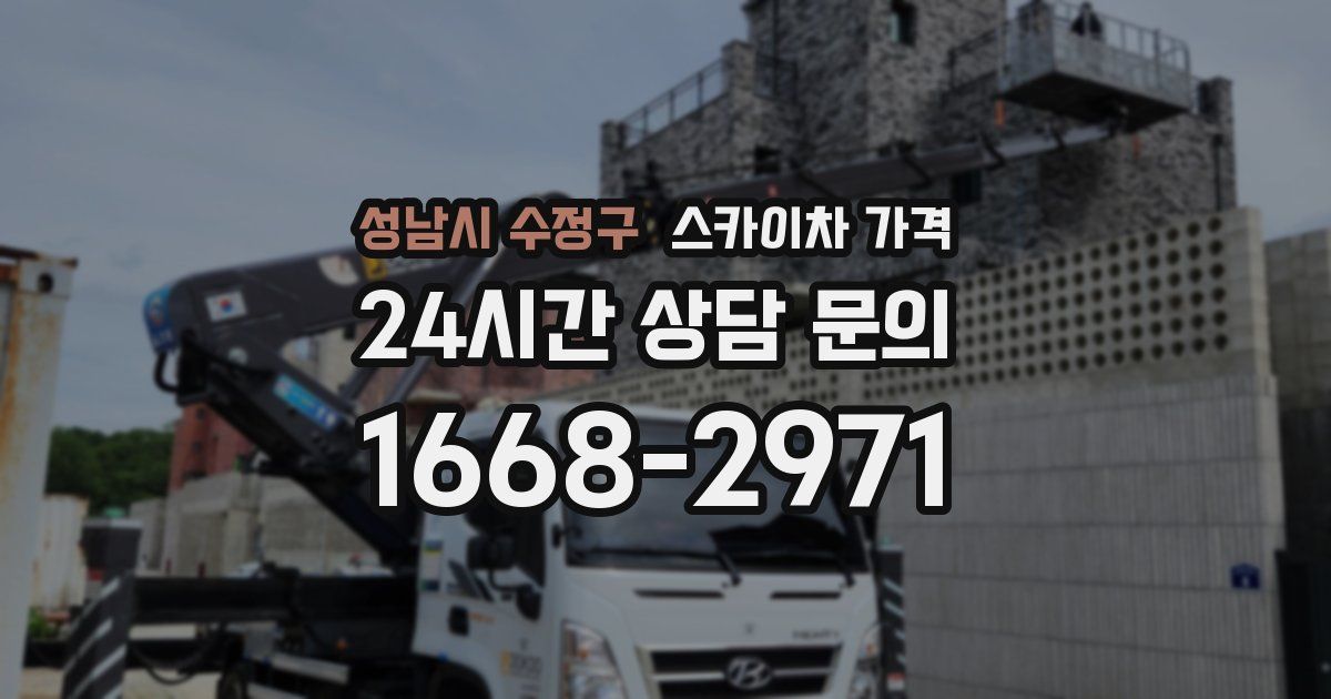 성남시 수정구 스카이차 가격