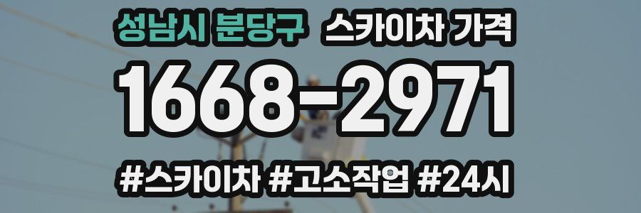 성남시 분당구 스카이차 가격