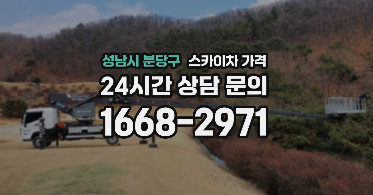 성남시 분당구 스카이차 가격