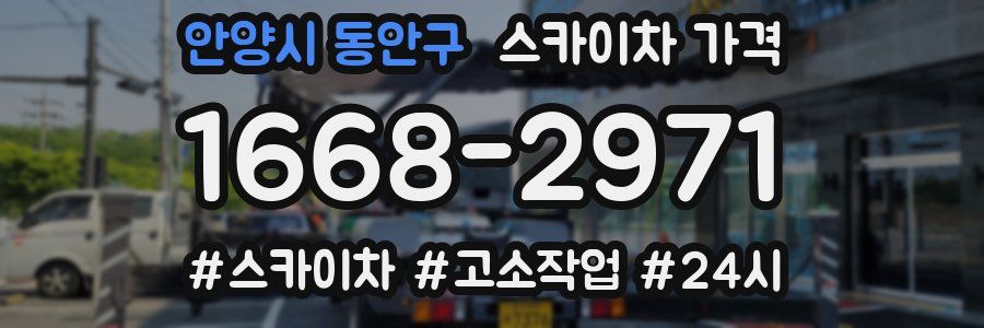 안양시 동안구 스카이차 가격