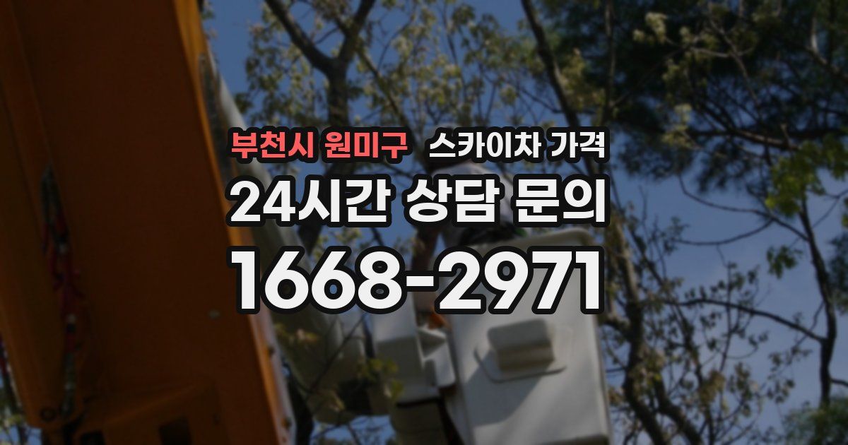 부천시 원미구 스카이차 가격
