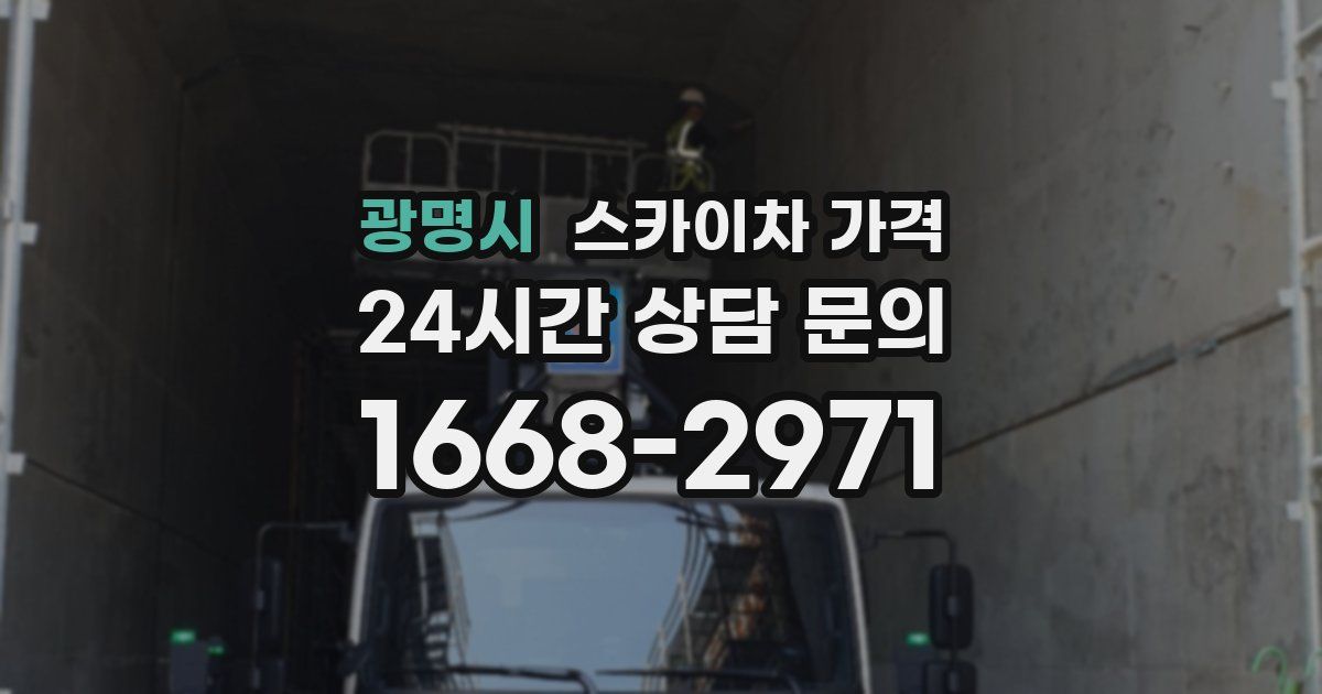 광명시 스카이차 가격