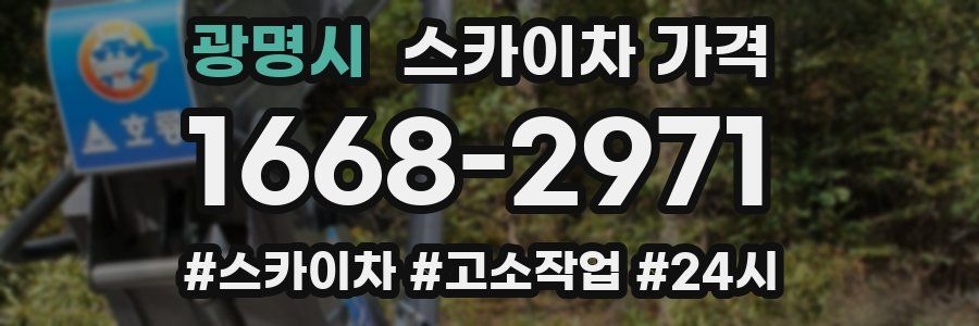 광명시 스카이차 가격