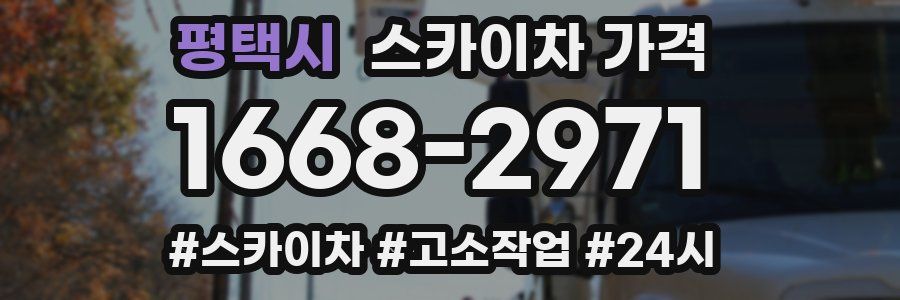 평택시 스카이차 가격