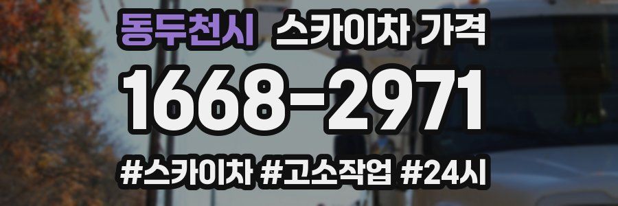 동두천시 스카이차 가격