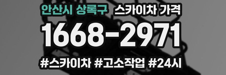 안산시 상록구 스카이차 가격