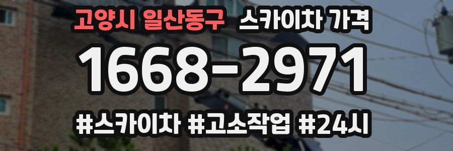 고양시 일산동구 스카이차 가격