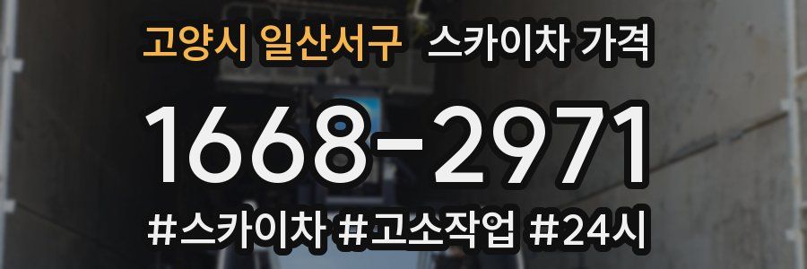 고양시 일산서구 스카이차 가격