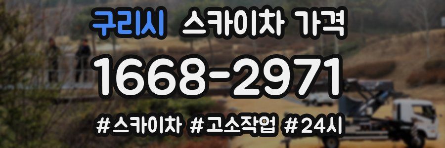 구리시 스카이차 가격