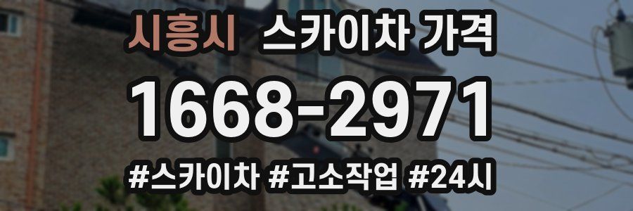 시흥시 스카이차 가격