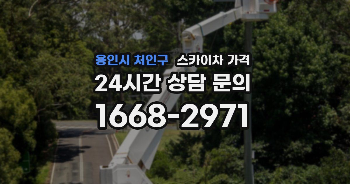 용인시 처인구 스카이차 가격