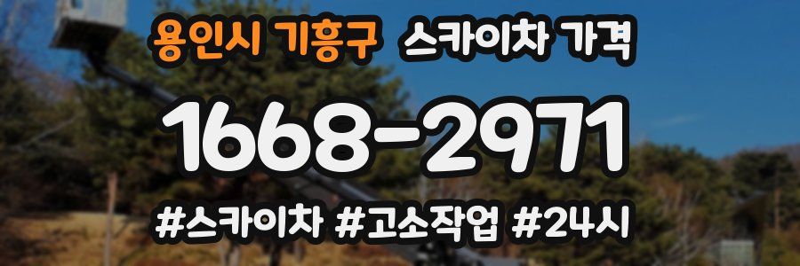 용인시 기흥구 스카이차 가격