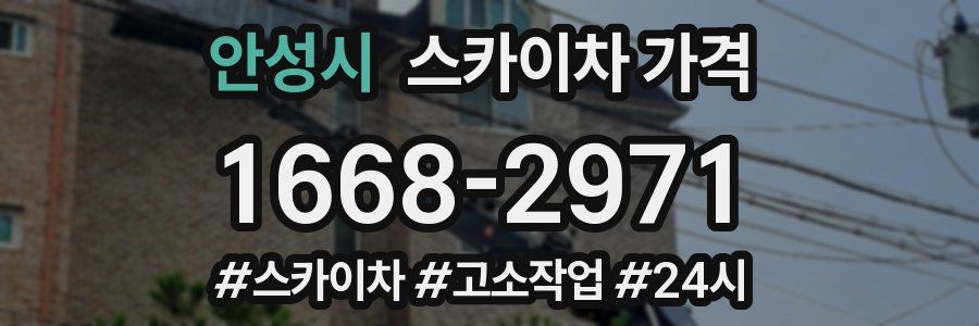 안성시 스카이차 가격