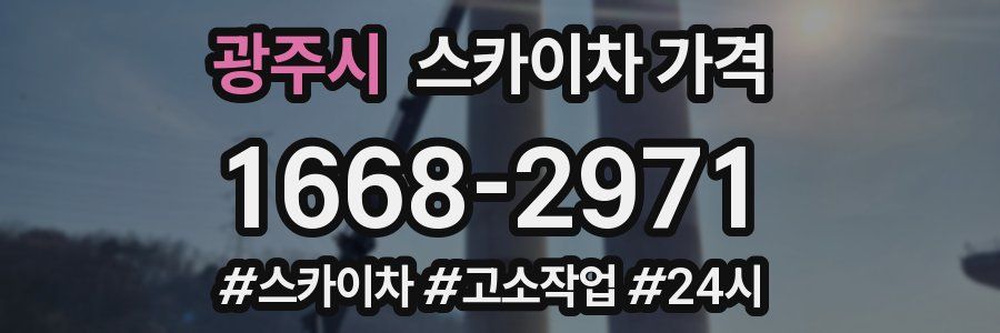 광주시 스카이차 가격