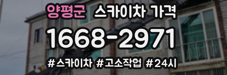 양평군 스카이차 가격